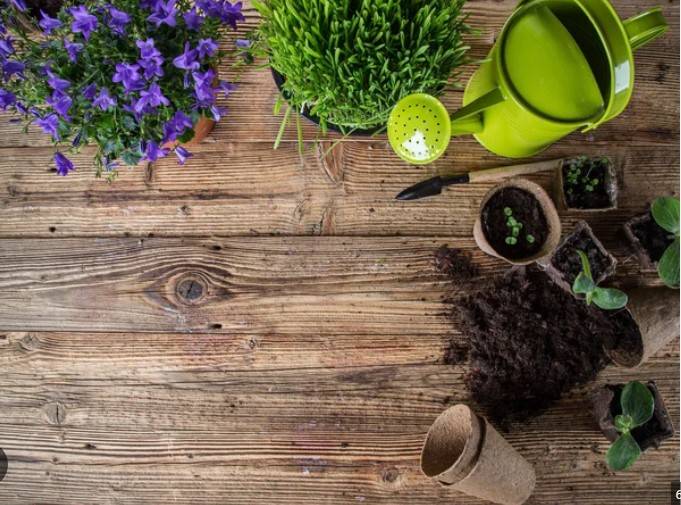 OUTILLAGE & ENTRETIEN DE JARDIN 