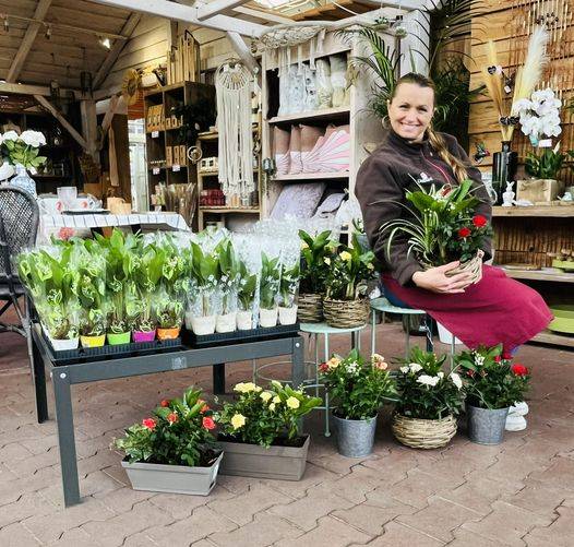 Vente de muguet, compositions et potées à la jardinerie Delbard Gassian