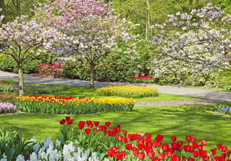 Préparez Votre Jardin pour la saison printanière au alentours de Bordeaux