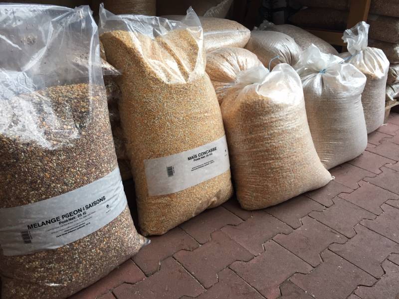 Achat de céréales, aliments pour les poules pondeuses et volailles à Andernos