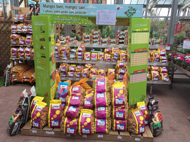 Vente plants de pommes de terre à Lacanau, Lège Cap Ferret, Andernos