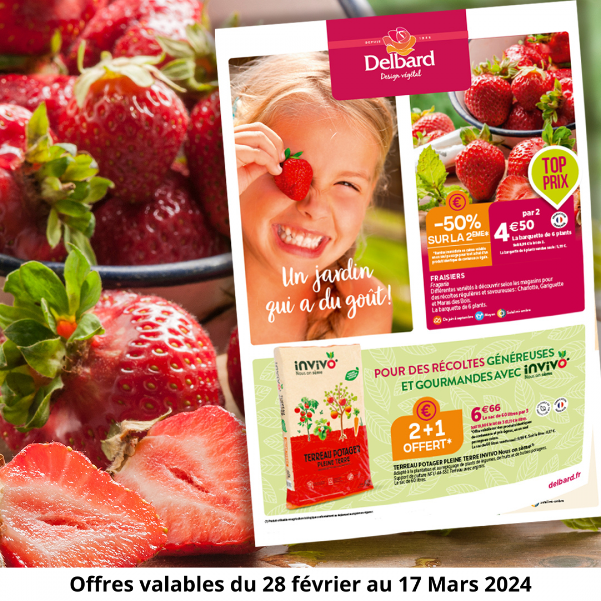 Découvrez notre Catalogue de Promotions Printanières sur Le Porge !