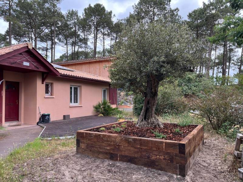 Réalisation et création de Jardins Paysagers au Cap Ferret : Offrez du Caractère à Vos Extérieurs