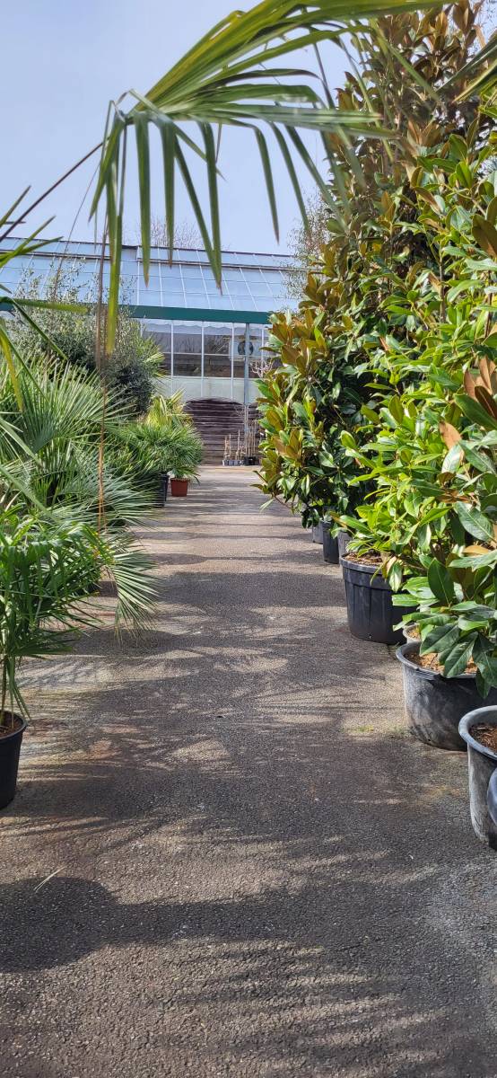 La jardinerie Delbard Gassian vous aide à vous lancer dans la La permaculture