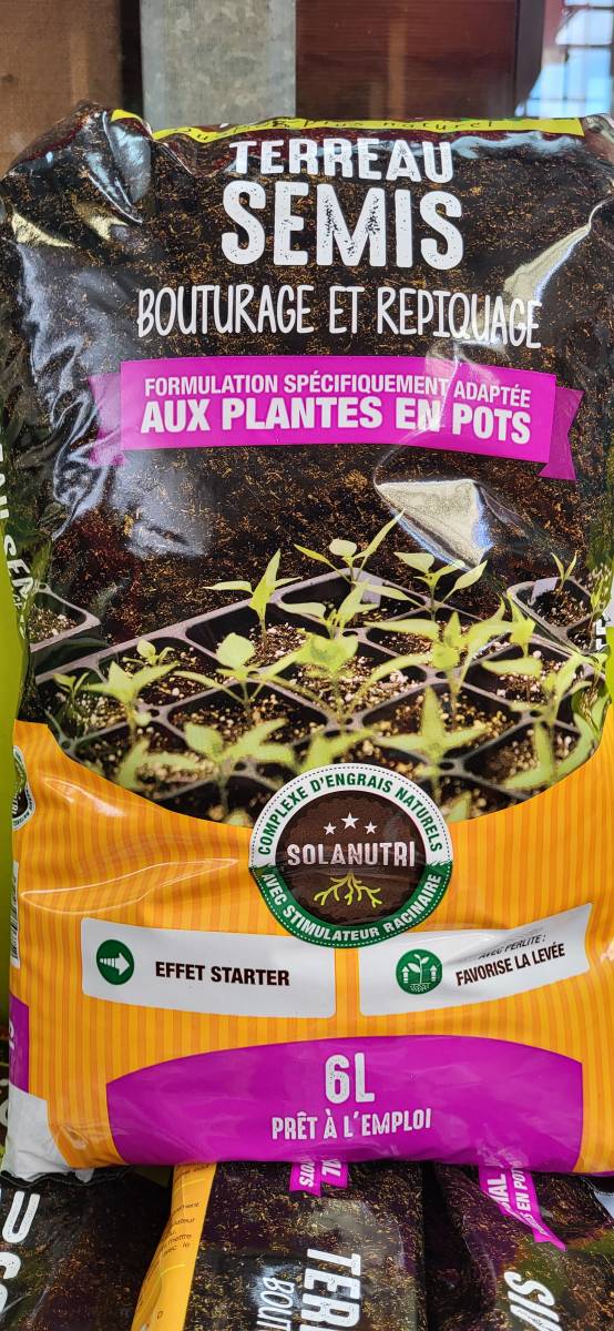 Récoltez l&rsquo;automne dès cet été : Préparez vos semis pour des jardins florissants à la Jardinerie Delbard-Gassian au Porge !