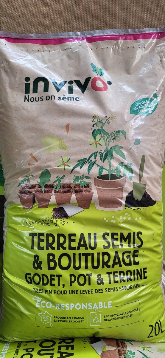 Récoltez l&rsquo;automne dès cet été : Préparez vos semis pour des jardins florissants à la Jardinerie Delbard-Gassian au Porge !