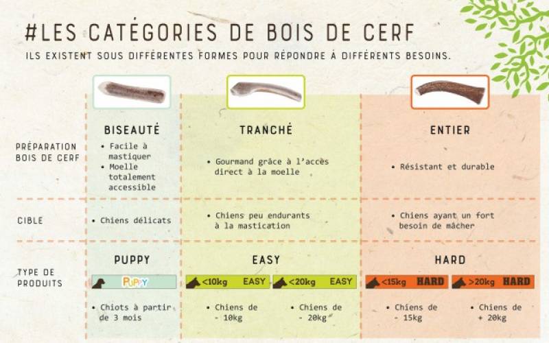 Où trouver des friandises naturelles pour chien sur le bassin d’Arcachon ?