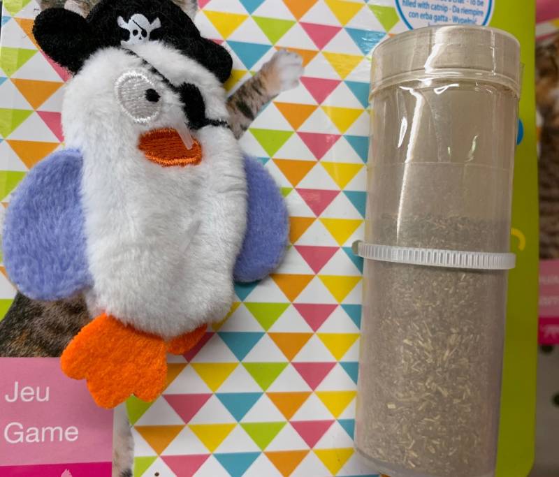 Ventes de jouets pour chats au Bassin d&rsquo;Arcachon dans votre jardinerie Delbard