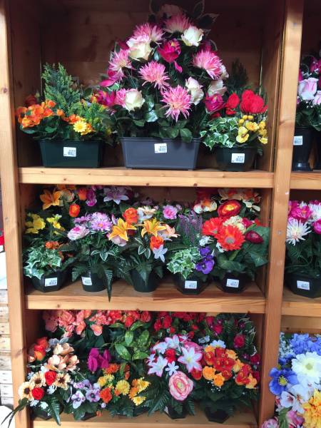 Coupe de fleurs sur le Bassin d&rsquo;Arcachon