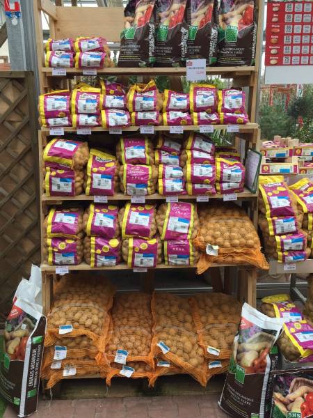 Vente plants de pommes de terre à Lacanau, Lège Cap Ferret, Andernos