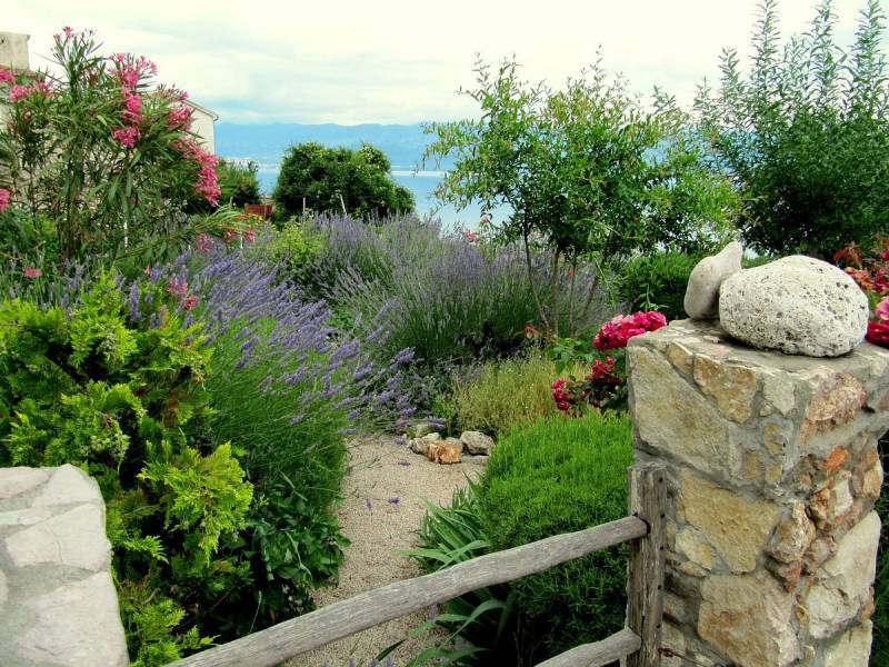 Comment Créer un Jardin beau et Resplendissant en Bord de Mer avec de belle plante sur Lacanau ?