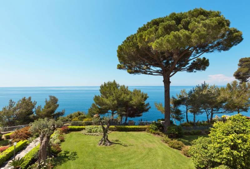 Comment Créer un Jardin beau et Resplendissant en Bord de Mer avec de belle plante sur Lacanau ?